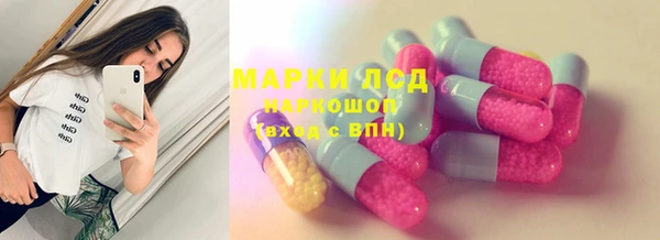 шишки Слюдянка